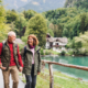 Wealth Preservation Strategies