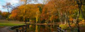 Retiring in Connecticut (1)